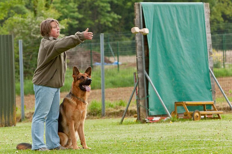 090510_MG_6157.jpg - Education canine