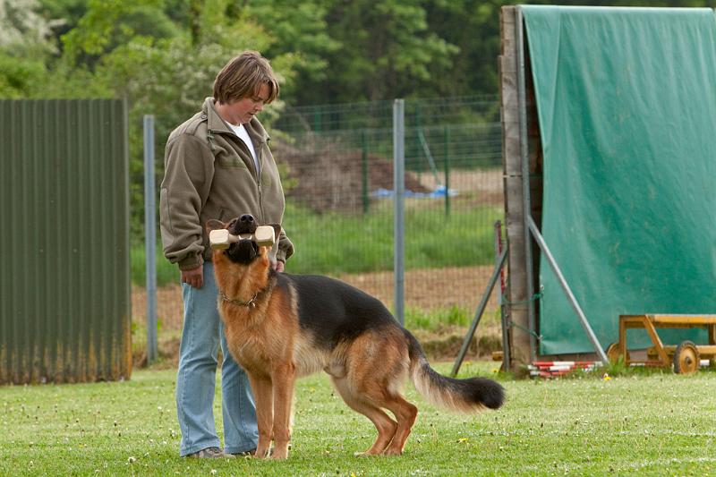 090510_MG_6163.jpg - Education canine
