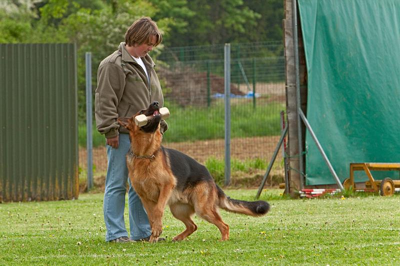 090510_MG_6164.jpg - Education canine