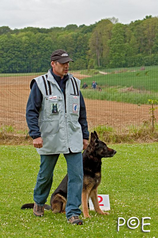 090510_MG_6181.jpg - Education canine