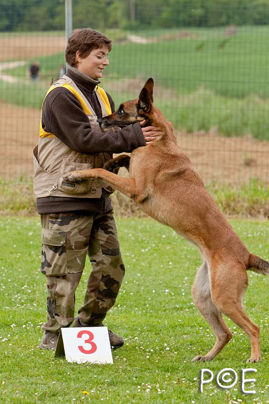 090510_MG_6191.jpg - Education canine