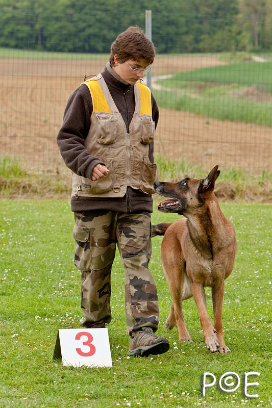 090510_MG_6197.jpg - Education canine