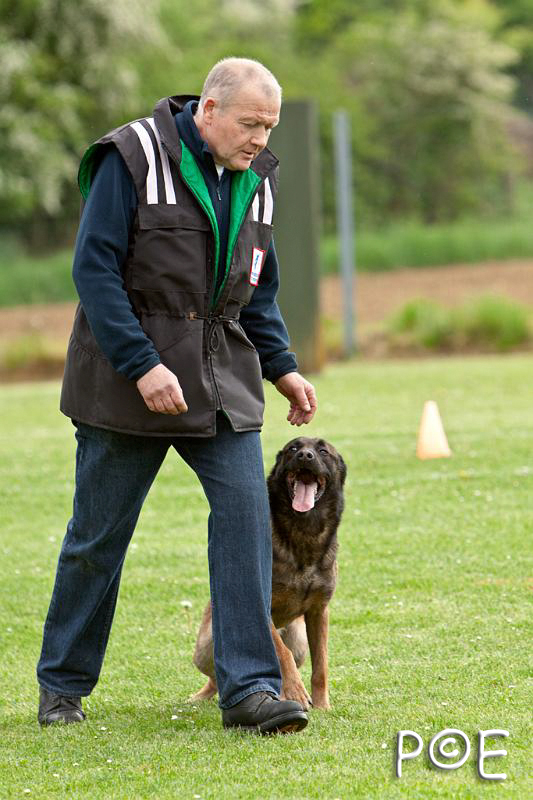 090510_MG_6233.jpg - Education canine