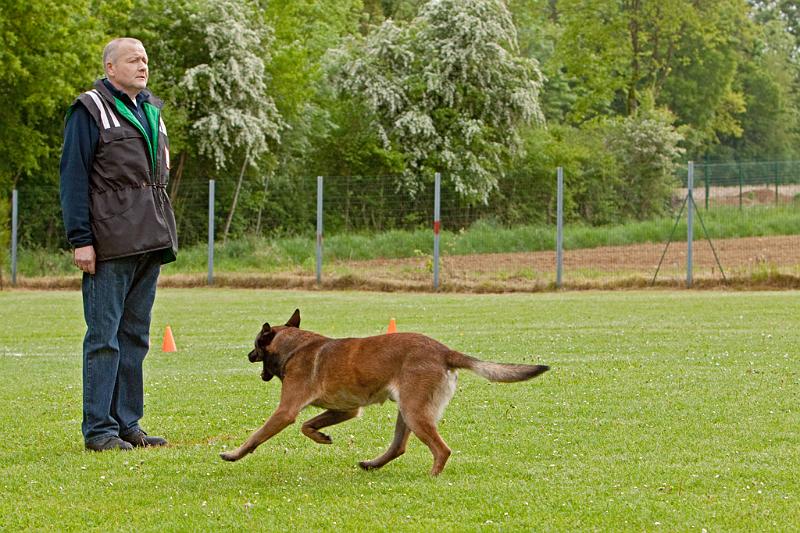 090510_MG_6239.jpg - Education canine