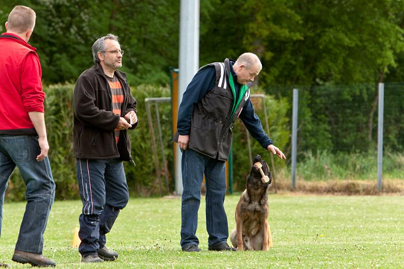 090510_MG_6268.jpg - Education canine