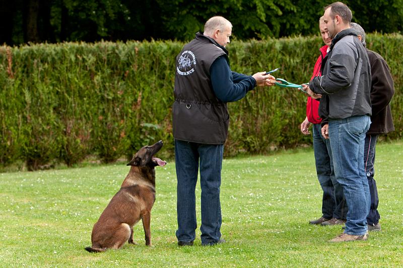 090510_MG_6283.jpg - Education canine