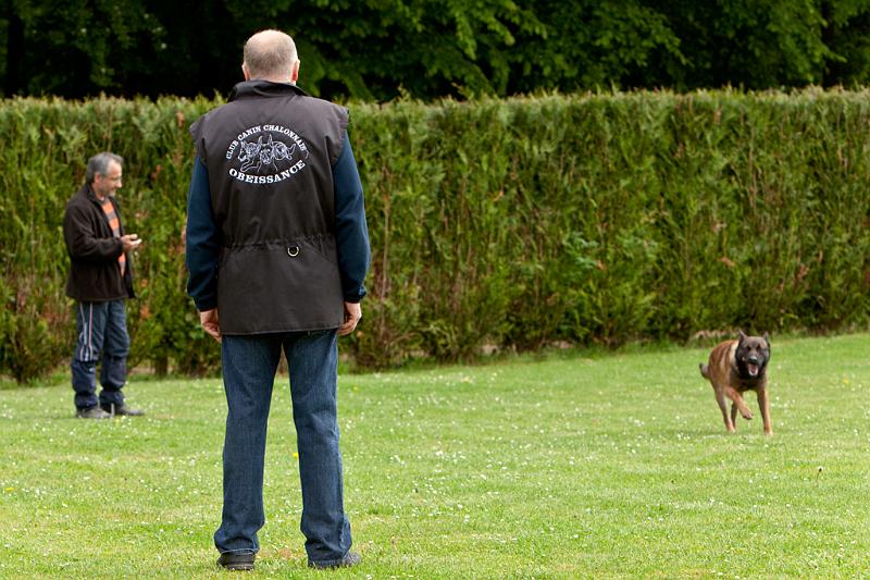 090510_MG_6286.jpg - Education canine