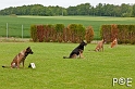 090510_MG_2137