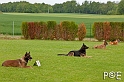 090510_MG_2138