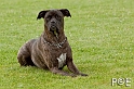 090510_MG_6025
