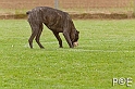 090510_MG_6047