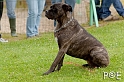 090510_MG_6053