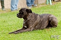 090510_MG_6054