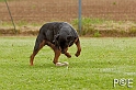 090510_MG_6074