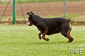 090510_MG_6078