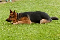 090510_MG_6171