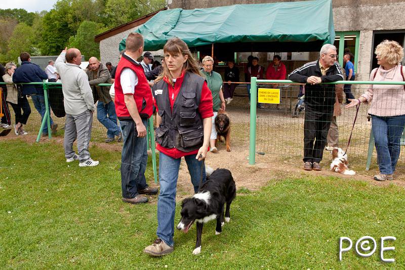 090510_MG_2217.jpg - Education canine