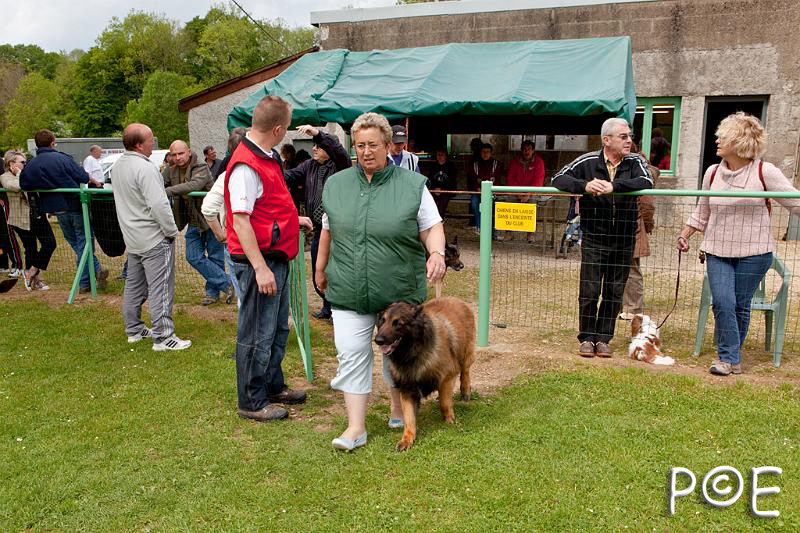 090510_MG_2218.jpg - Education canine