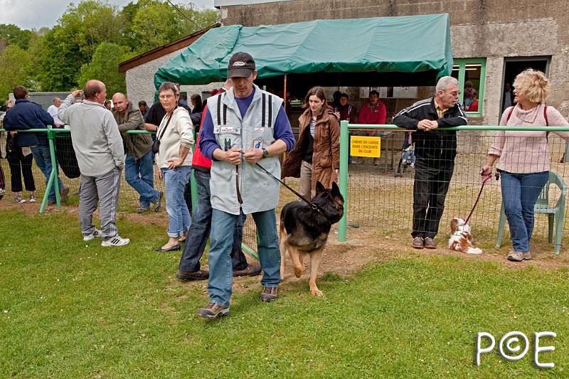 090510_MG_2219.jpg - Education canine