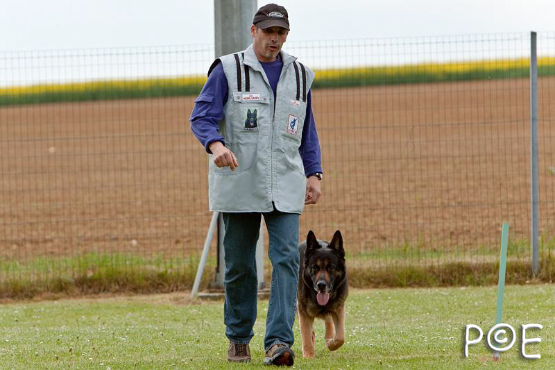 090510_MG_6294.jpg - Education canine