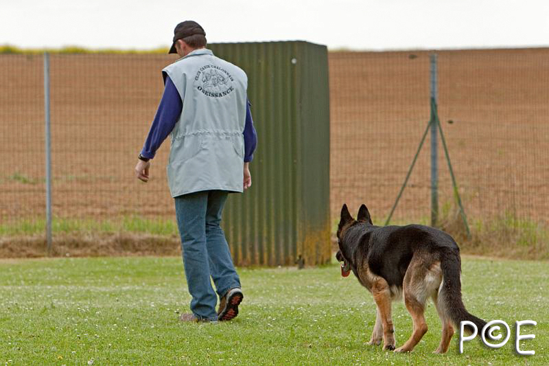 090510_MG_6298.jpg - Education canine