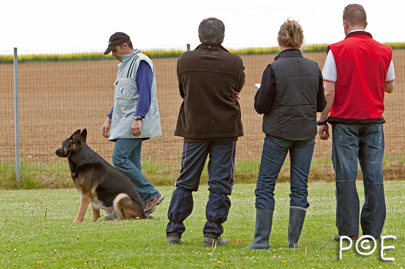 090510_MG_6300.jpg - Education canine