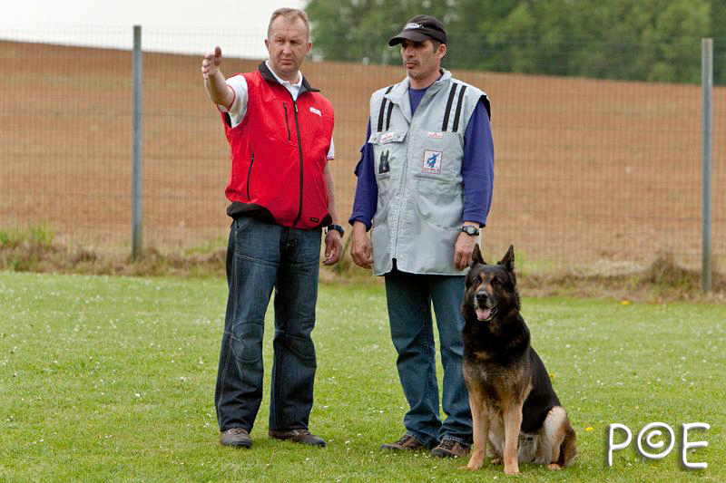 090510_MG_6302.jpg - Education canine