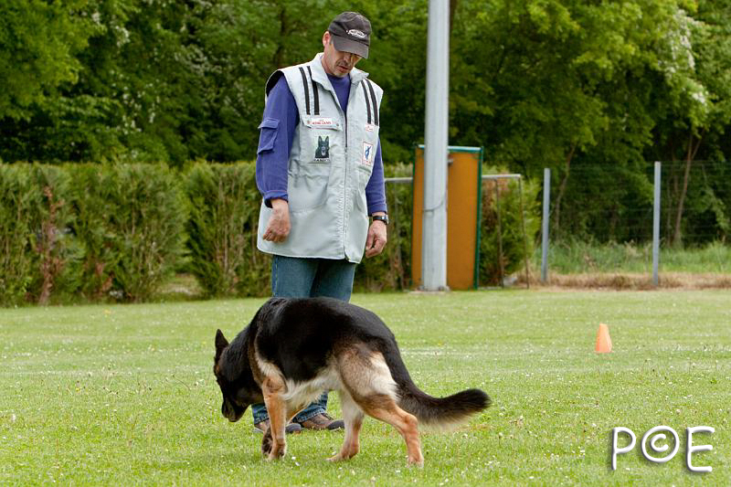 090510_MG_6307.jpg - Education canine
