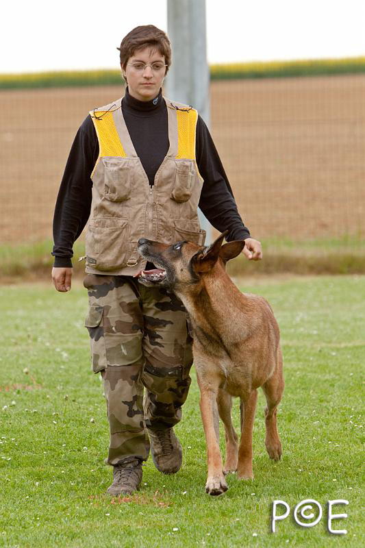090510_MG_6339.jpg - Education canine