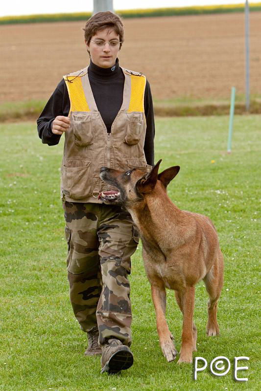 090510_MG_6340.jpg - Education canine