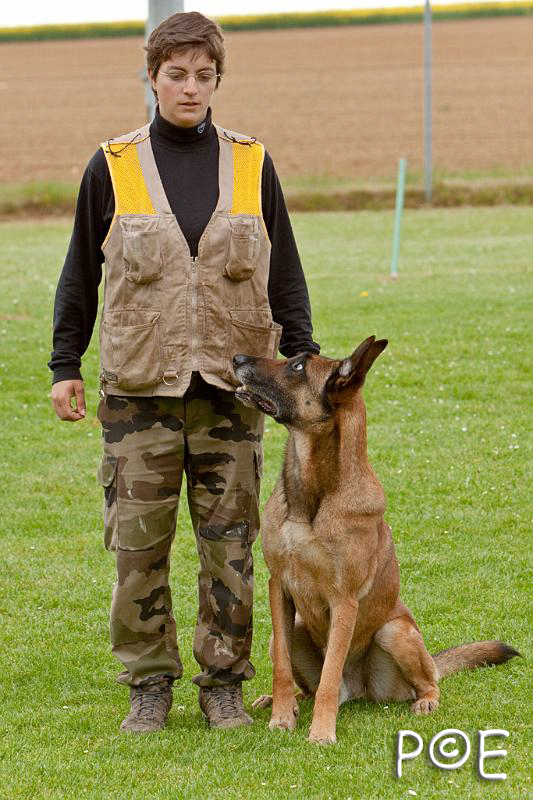 090510_MG_6342.jpg - Education canine