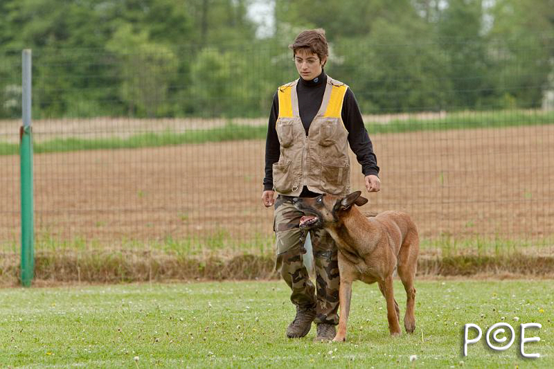 090510_MG_6348.jpg - Education canine