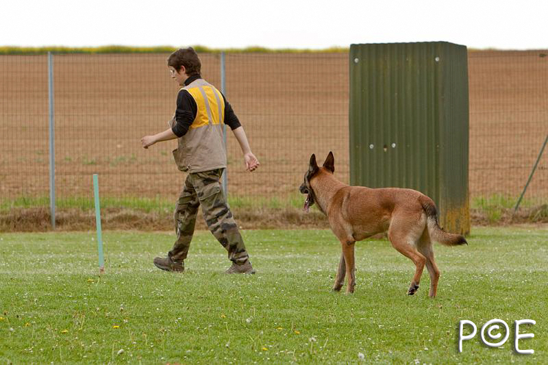 090510_MG_6354.jpg - Education canine