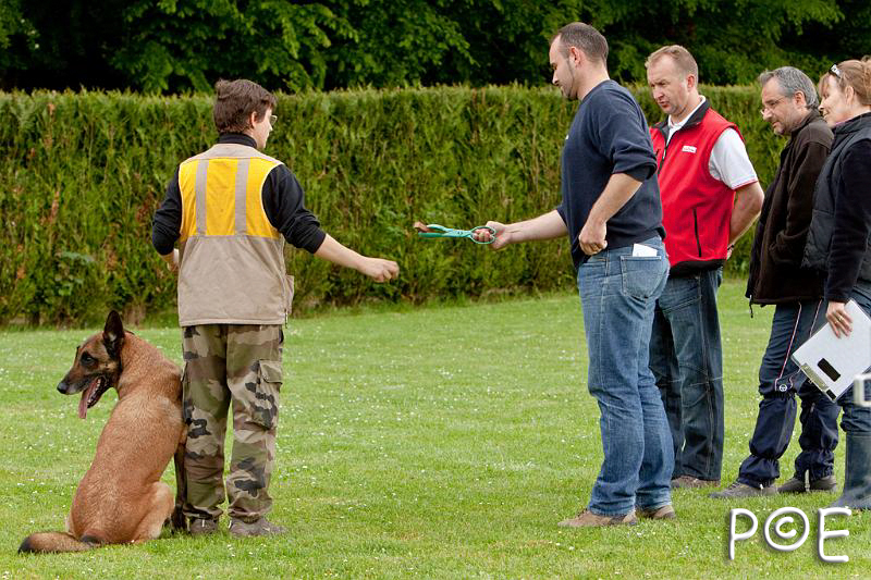 090510_MG_6390.jpg - Education canine