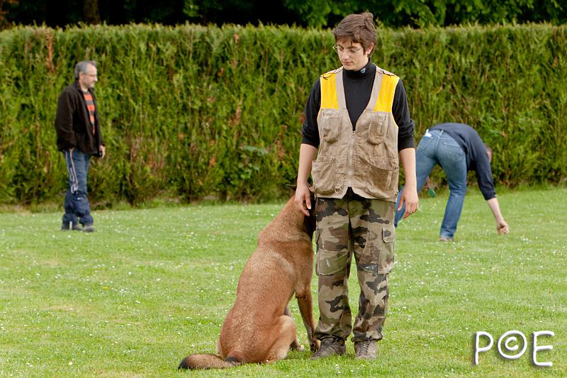 090510_MG_6393.jpg - Education canine