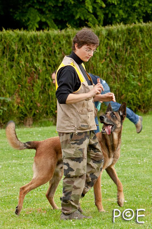 090510_MG_6399.jpg - Education canine