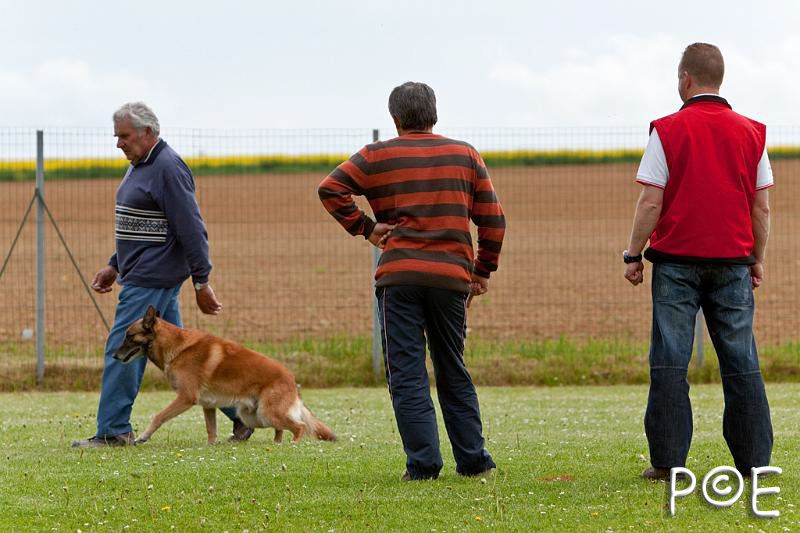 090510_MG_6434.jpg - Education canine