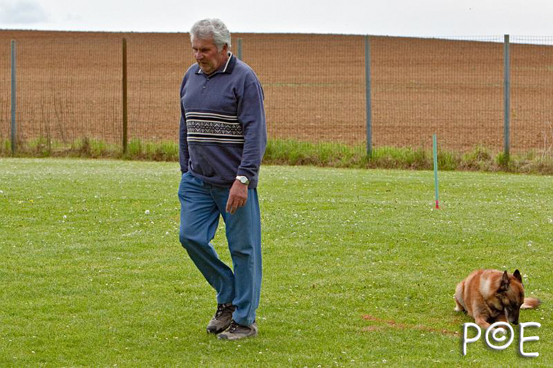 090510_MG_6435.jpg - Education canine