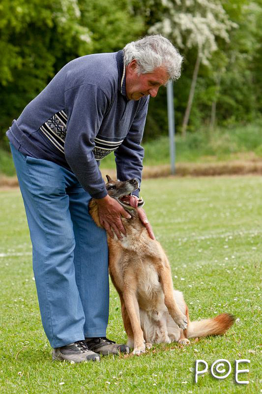 090510_MG_6445.jpg - Education canine