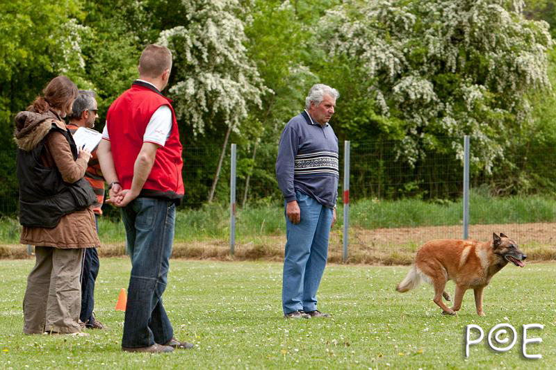 090510_MG_6456.jpg - Education canine