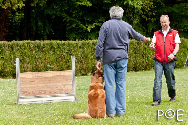090510_MG_6474.jpg - Education canine