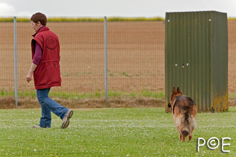 090510_MG_6484.jpg - Education canine
