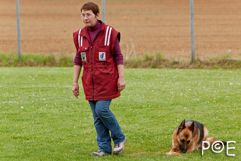 090510_MG_6489.jpg - Education canine