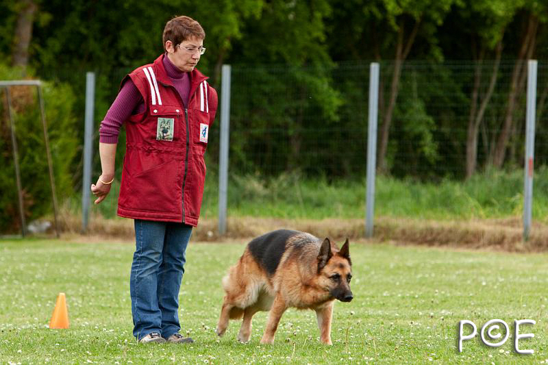 090510_MG_6495.jpg - Education canine