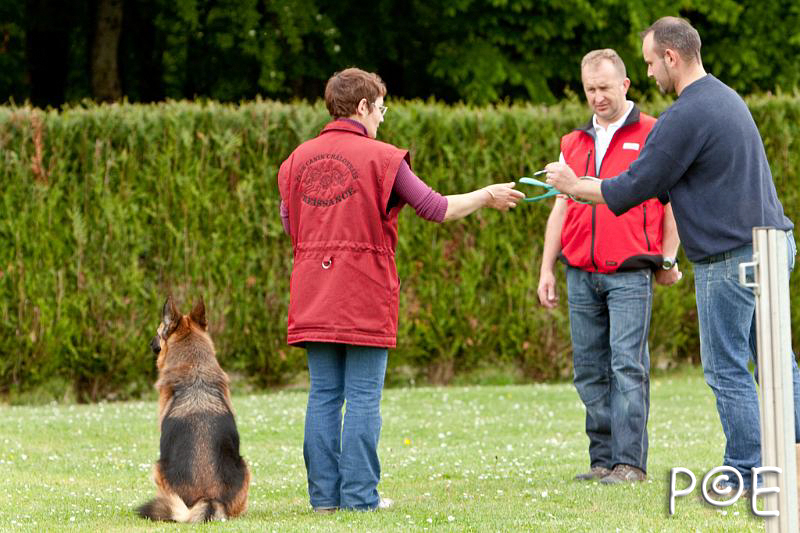 090510_MG_6511.jpg - Education canine