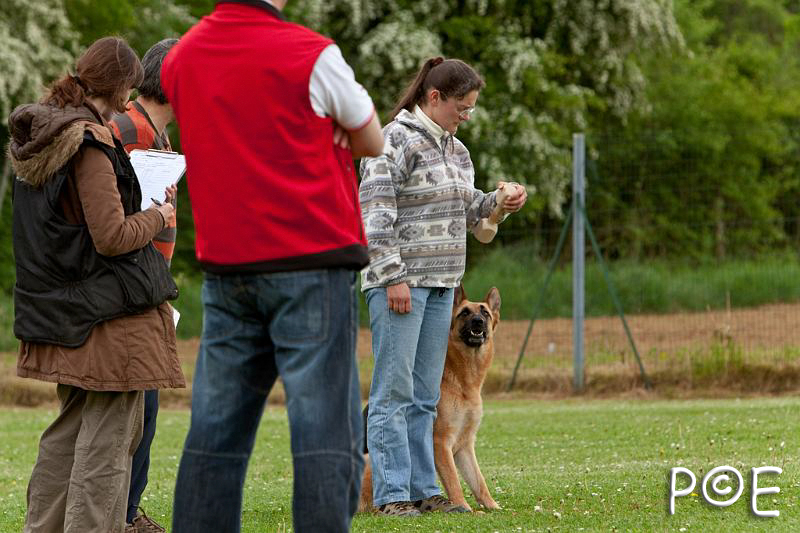 090510_MG_6523.jpg - Education canine