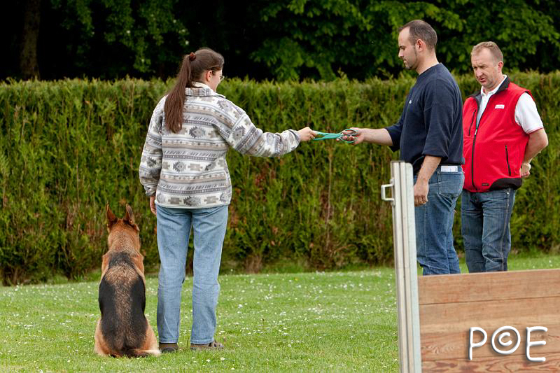 090510_MG_6532.jpg - Education canine