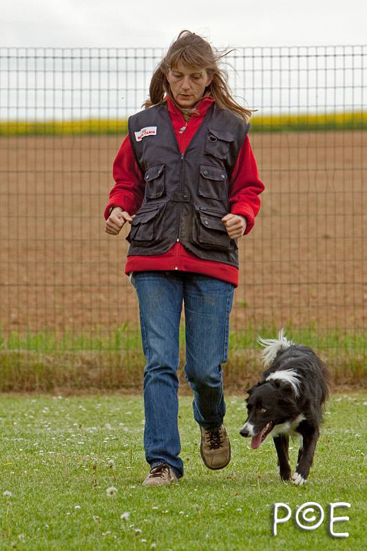 090510_MG_6539.jpg - Education canine