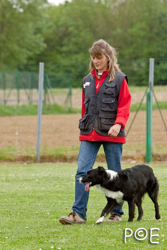 090510_MG_6545.jpg - Education canine