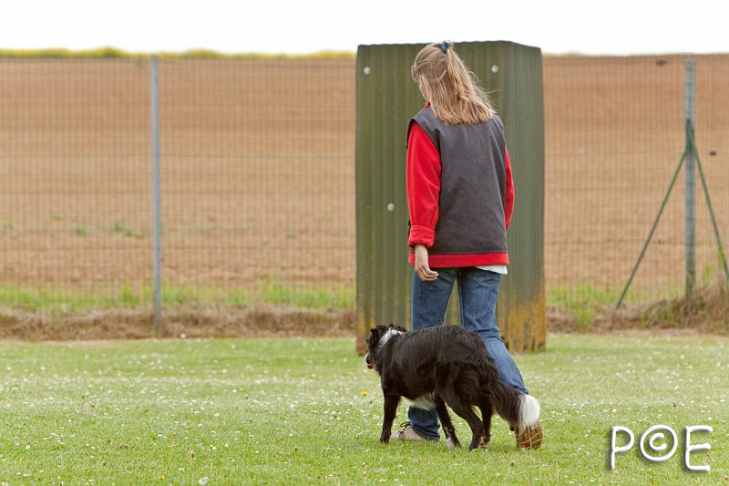 090510_MG_6550.jpg - Education canine